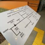 A importância das Placas em Braille